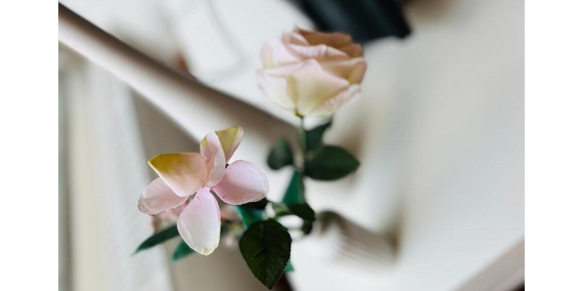 Etagenwohnung Bergisch Gladbach Paffrath - 1 Zimmer, 1.200&euro; | Angebot:23316102