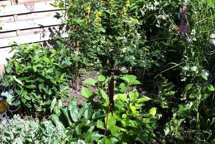 Grundstück Düsseldorf Stadtbezirk 8 - 490.000&euro; | Angebot:24464798