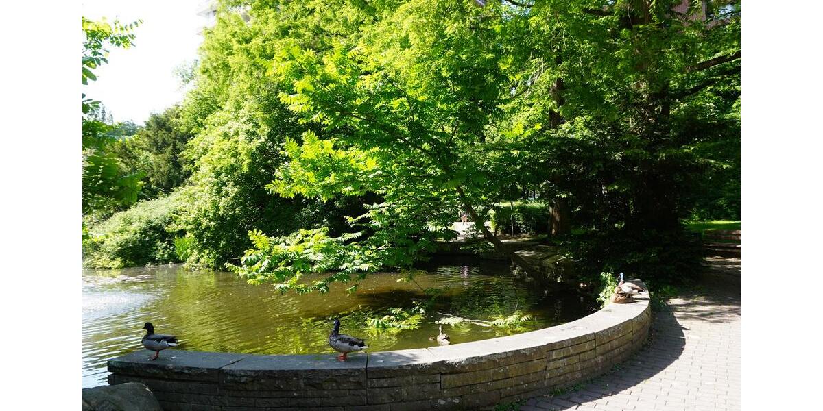 Etagenwohnung Köln Rodenkirchen - 3 Zimmer, 100 m&sup2;, 1.580&euro; | Angebot:25433198