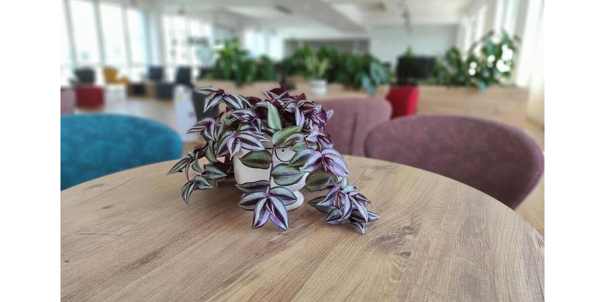 Gewerbeobjekt Neuss Gnadental - 2.800&euro; | Angebot:25966180