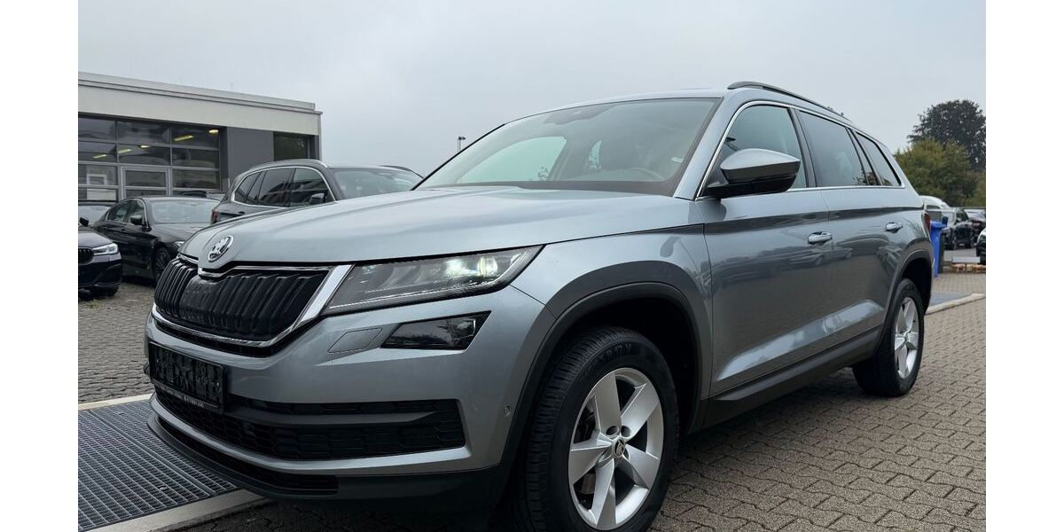 Skoda Kodiaq 180.000 km 18.990 &euro; Hilden 40721
