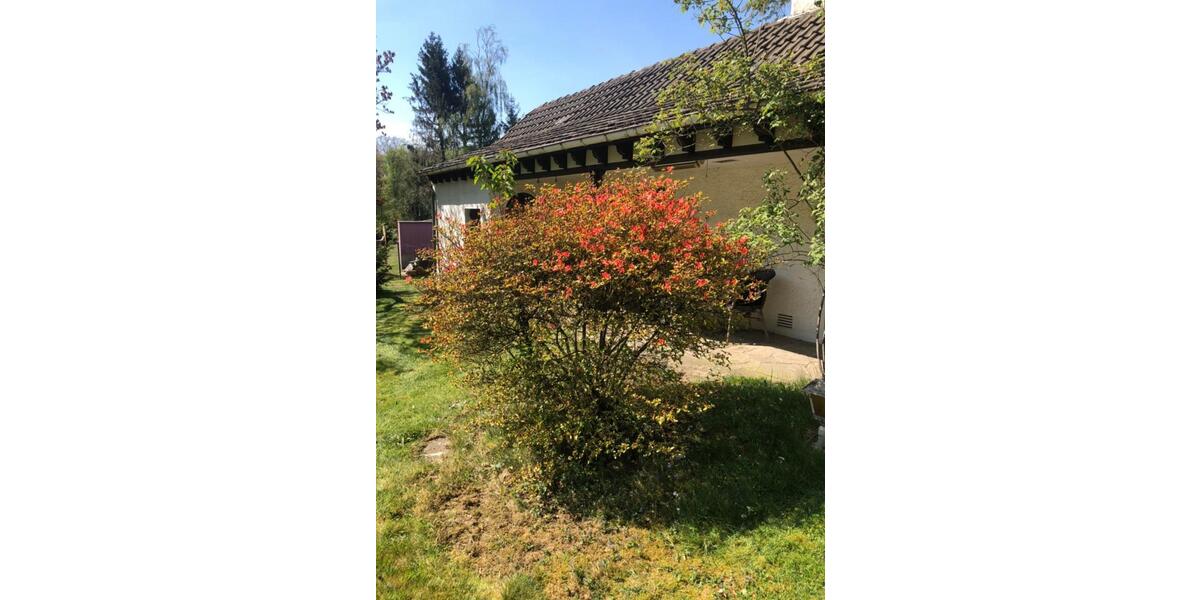 Einfamilienhaus Bergisch Gladbach Alt-Frankenforst - 8 Zimmer, 120 m&sup2;, 1.800.000&euro; | Angebot:23526570