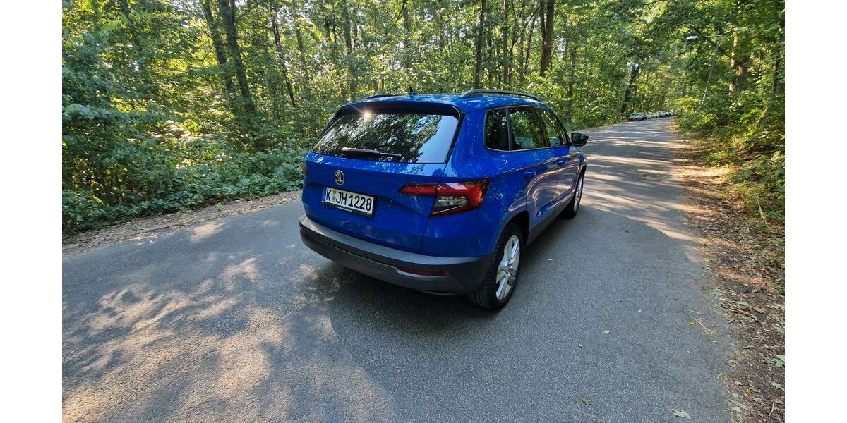 Skoda Karoq 100.999 km 17.900 &euro; Köln 51061