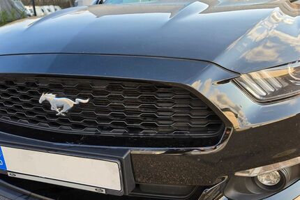 Ford Mustang 106.000 km 22.999 &euro; Bergheim 50129