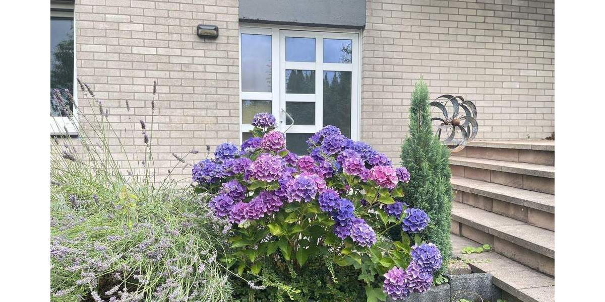 Doppelhaushälfte Odenthal Blecher - 5 Zimmer, 121 m&sup2;, 390.000&euro; | Angebot:25664963