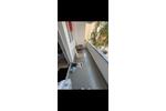 Etagenwohnung Köln Nippes - 2 Zimmer, 64 m&sup2;, 1.530&euro; | Angebot:26591344