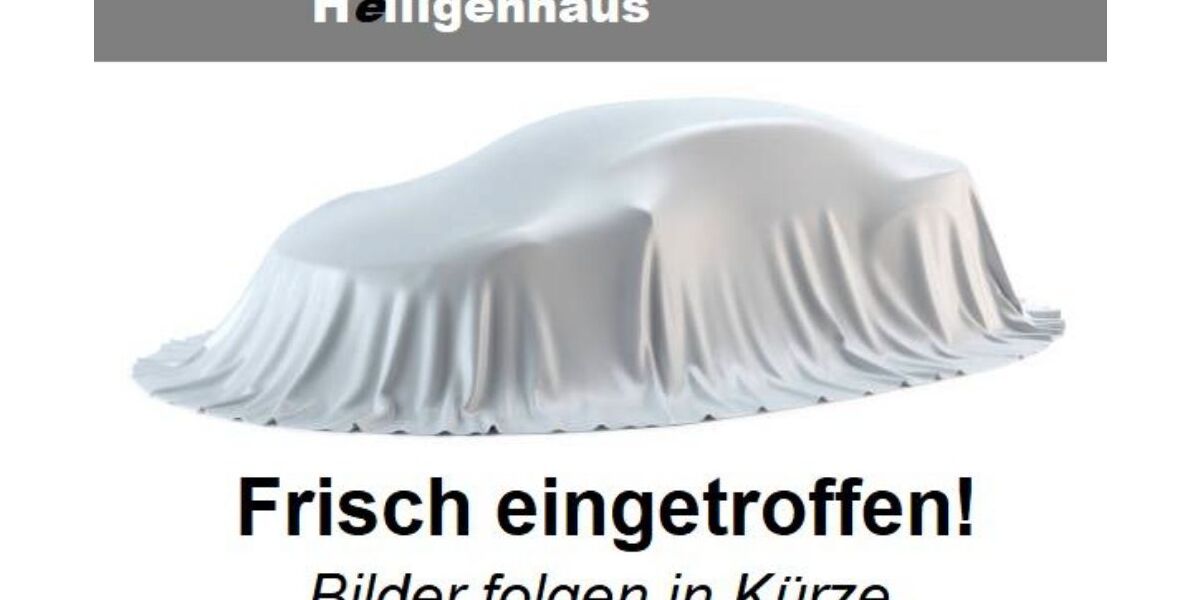 Skoda Scala 214.090 km 8.580 &euro; Heiligenhaus 42579