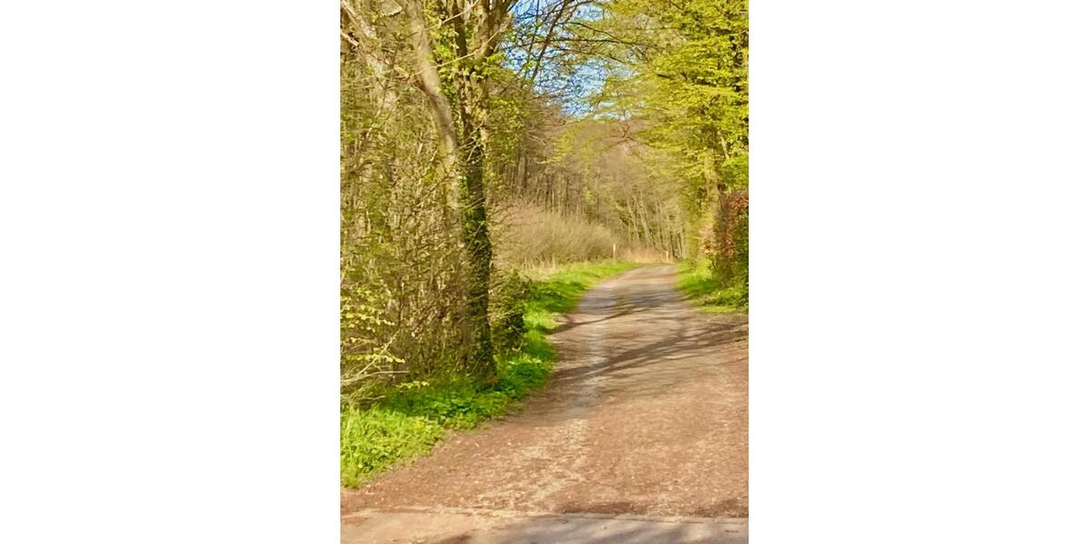 Doppelhaushälfte Bergisch Gladbach Paffrath - 5 Zimmer, 120 m&sup2;, 2.620&euro; | Angebot:26037344