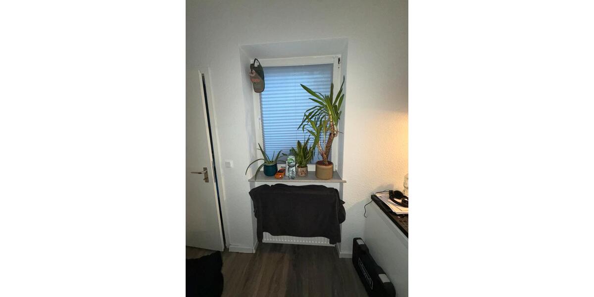 Erdgeschoßwohnung Köln Rodenkirchen - 1 Zimmer, 37 m&sup2;, 800&euro; | Angebot:25987304